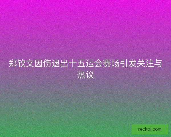 郑钦文因伤退出十五运会赛场引发关注与热议